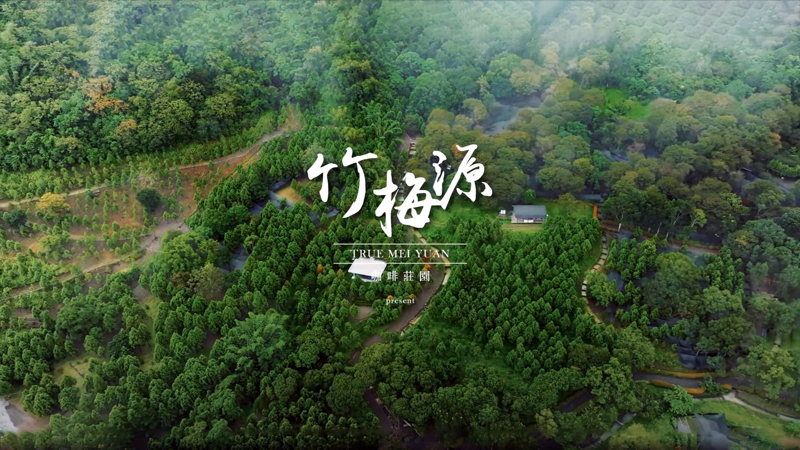 咖啡萃取飄出的熱氣，也是高山莊園的雲霧