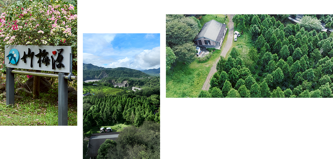 認識竹梅源-拾起藝文之果